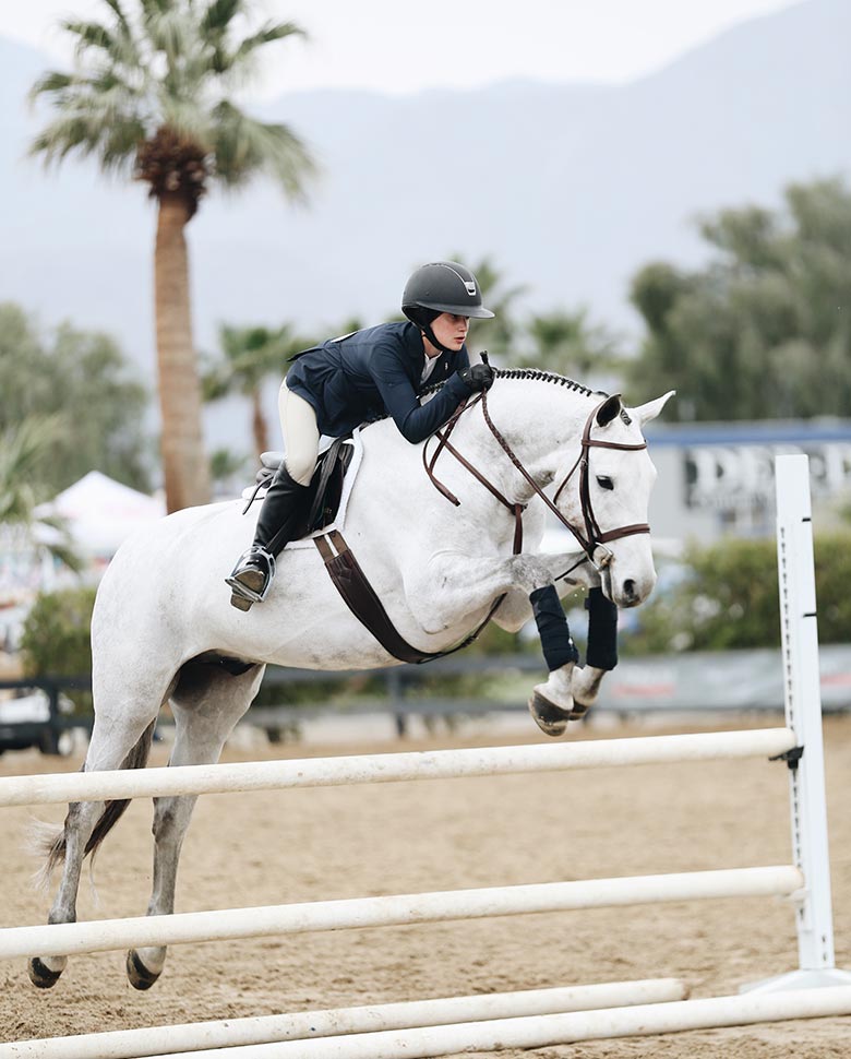 horse2-gallery-pic5